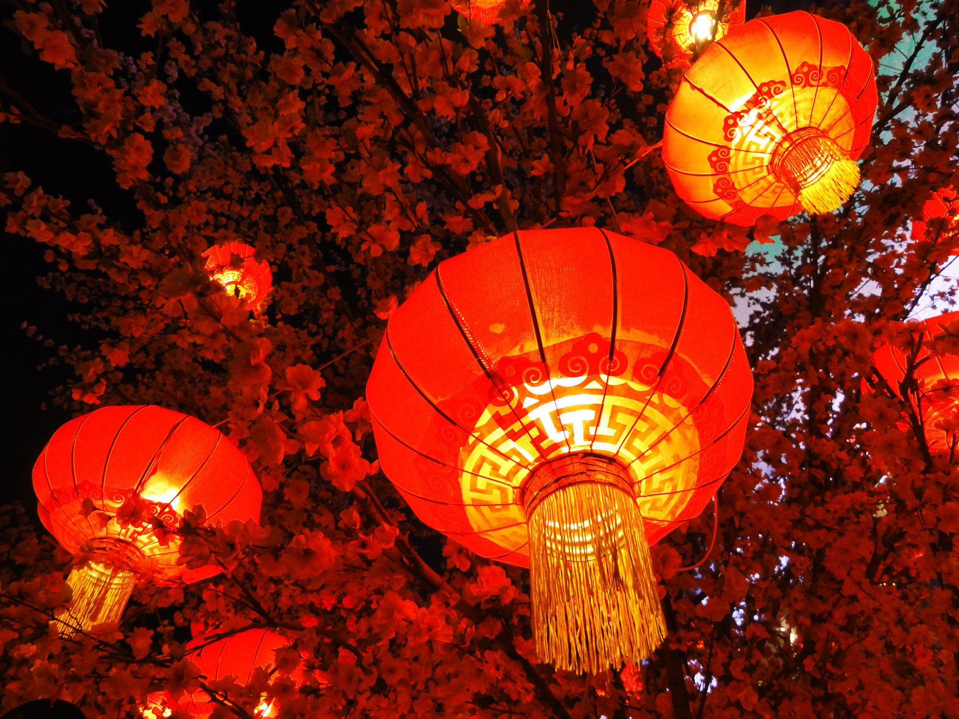 秦開電氣設(shè)備恭祝全國人民新年快樂！
